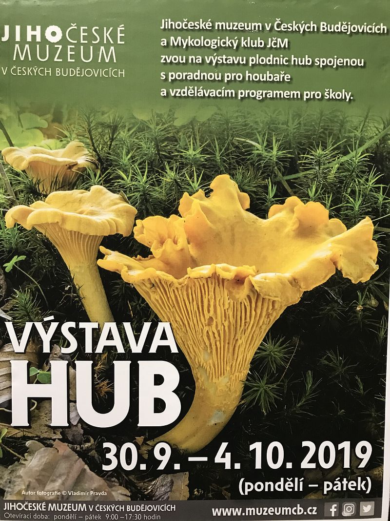 Plakát Výstavy hub