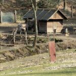 42F86334-F8A0-470A-9E1F-71EDAF340683_1_102_o