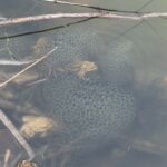 F0E29CE8-9188-4F31-B231-75D78ABAC9AC_1_105_c